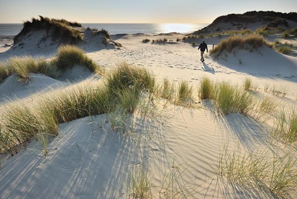 Heerlijk Vrijstaand Huis Aan De Duinen Burgh-Haamstede Exteriör bild
